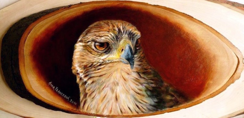 Bonelli's eagle